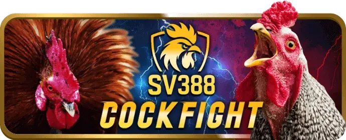 Hướng dẫn chơi nổ hũ trên điện thoại tại vn69 casino